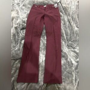 Maroon slacks NY&CO